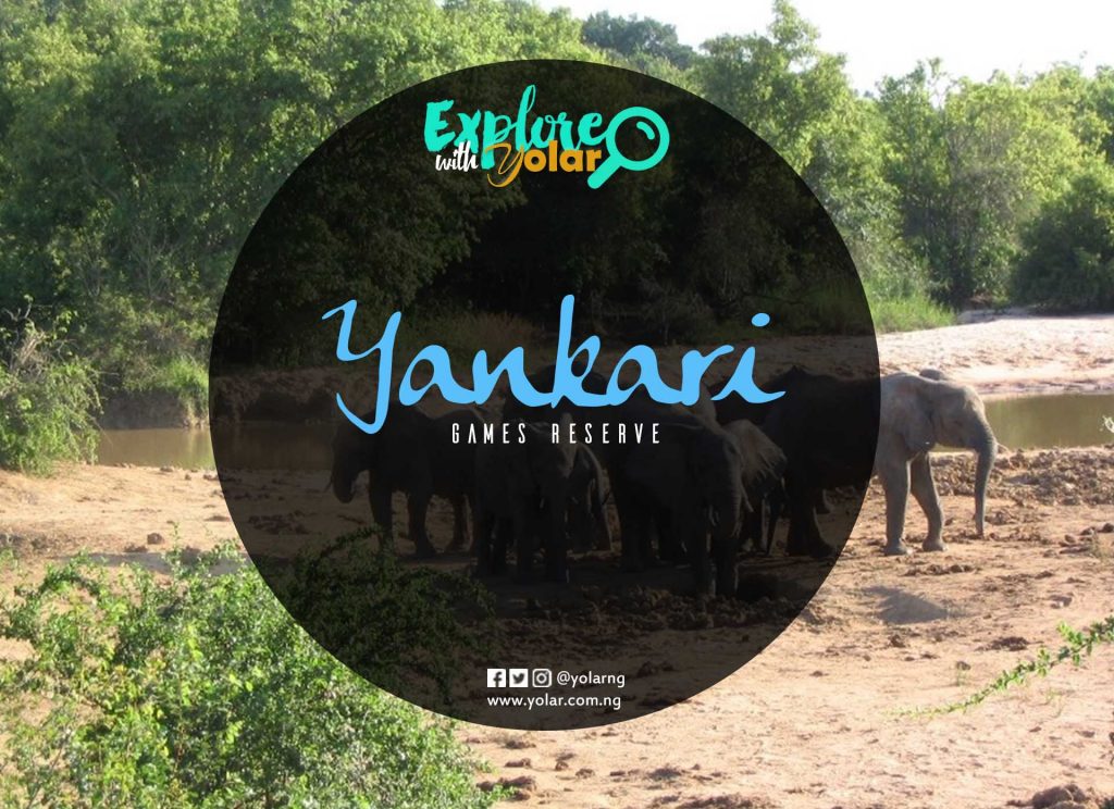 Explore with Yolar to Yankari